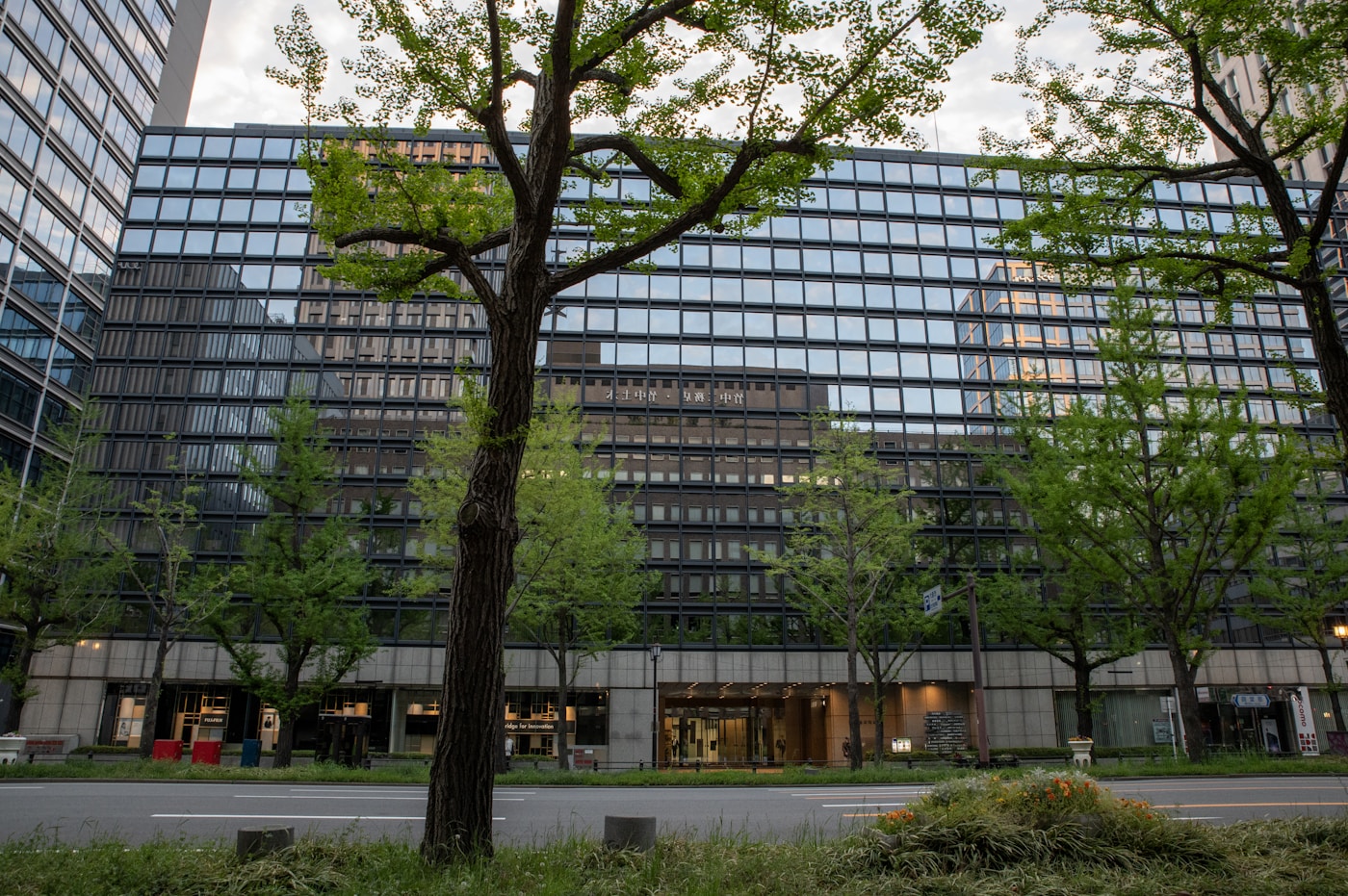 大阪の街路樹とガラス張りの建物