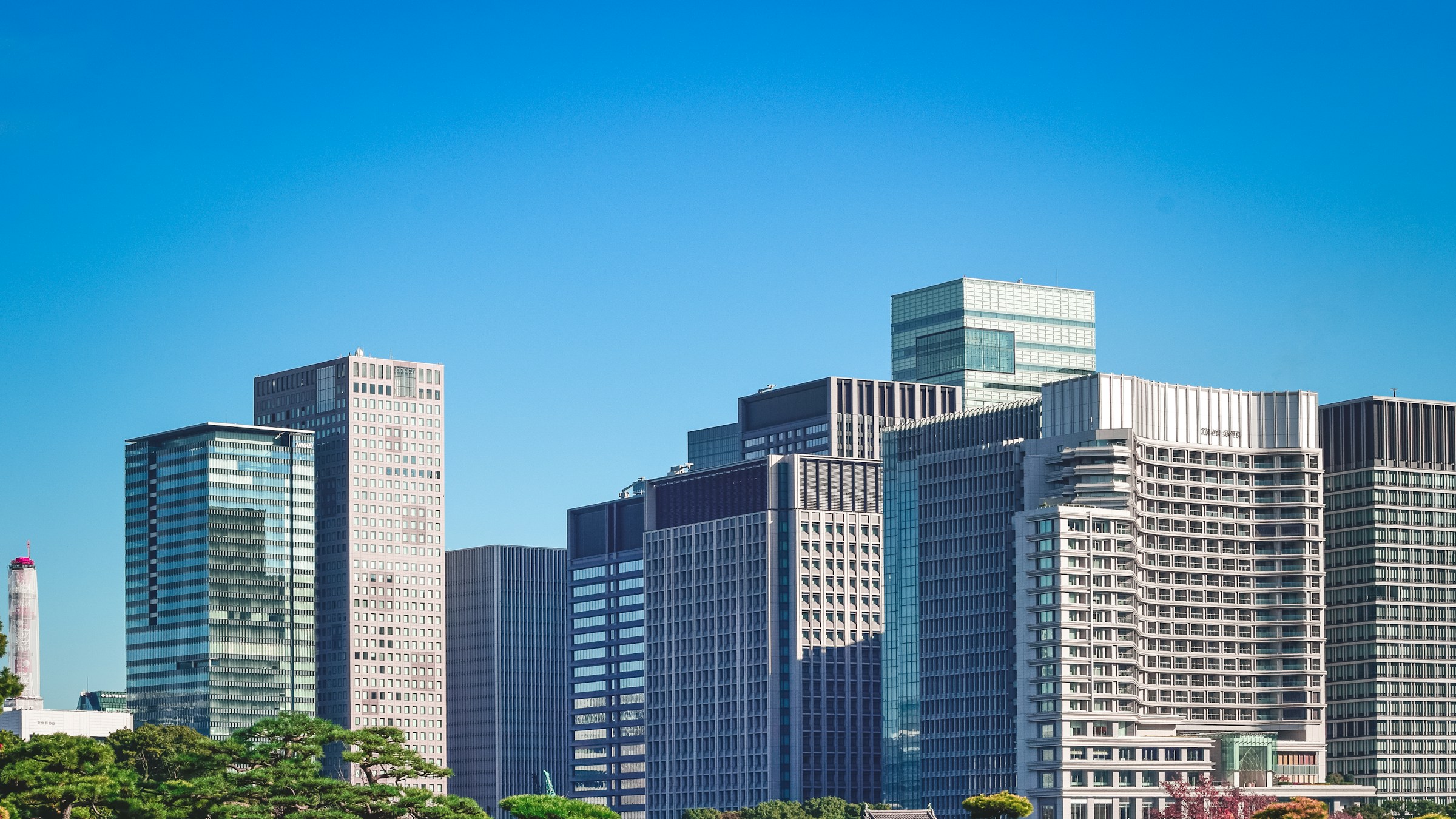 街路樹の緑と東京のオフィスビル群